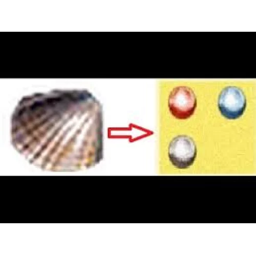 100x İSTİRİDYE 7-24